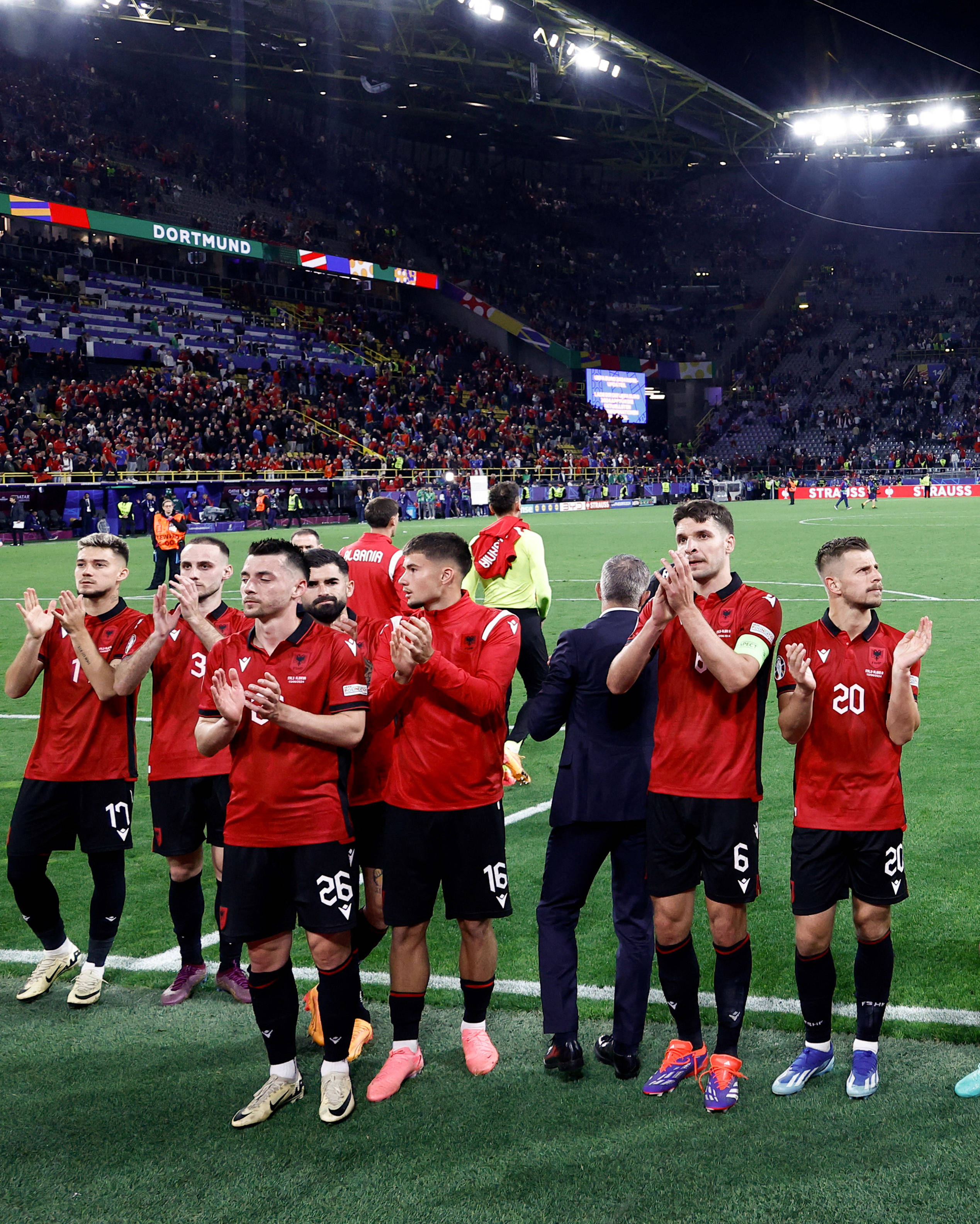 专家预测欧洲杯胜率超六成，结果成焦点的简单介绍