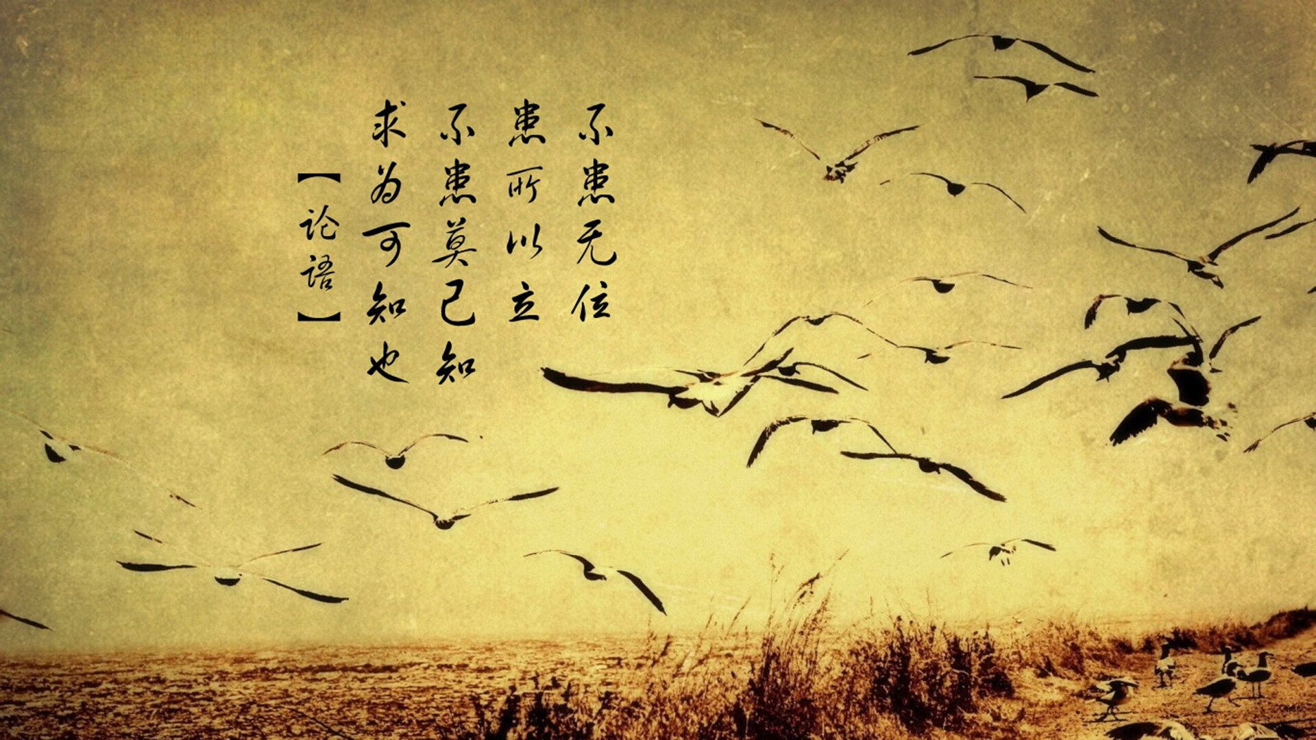 克瓦拉茨赫利亚关键进球定乾坤，冰岛奇迹绝杀摩纳哥