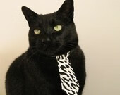 末节狂飙,团队的韧性与巨星的统治力