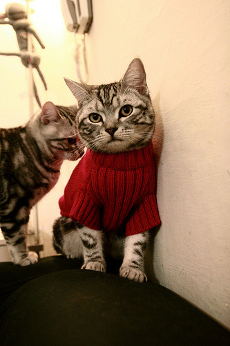 鹰击丹佛，一场颠覆想象的战术谋杀在欧冠之夜上演