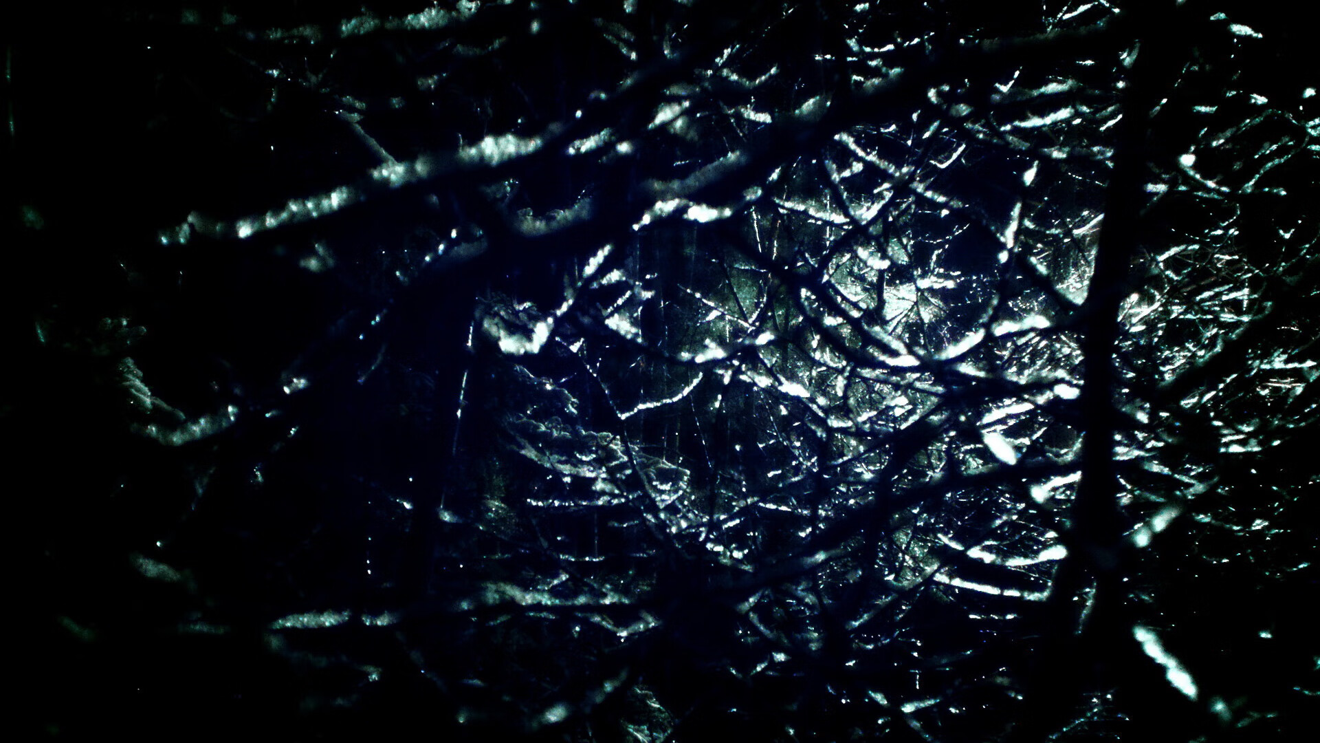 格列兹曼，璀璨星空下，那束最精准的法国星光