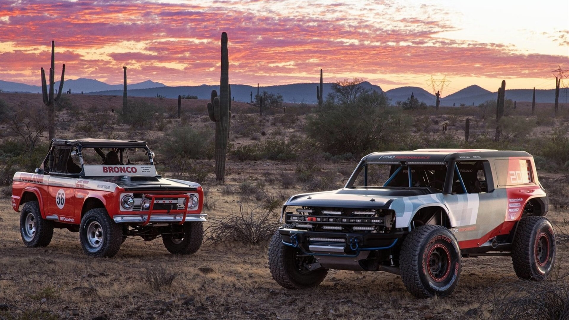 巅峰对决，爱尔兰力克美国，托尼关键一击定乾坤