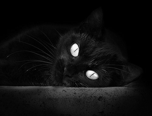 冷门与热焰，尼斯掀翻切尔西的战术革命，与拉什福德的冠军级宣言