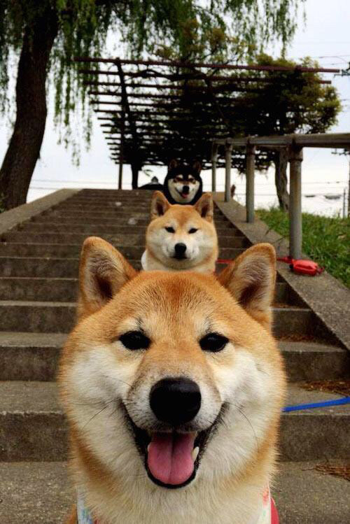 东西部双重奏，湖人全面压制尼克斯，克莱在世界排名争夺战接管比赛