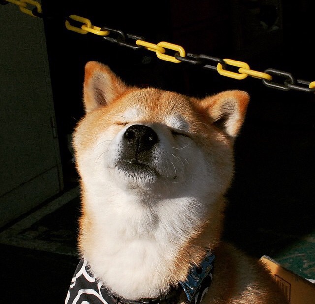 西甲国家德比之夜，马丁内利，用新王姿态书写革新篇章