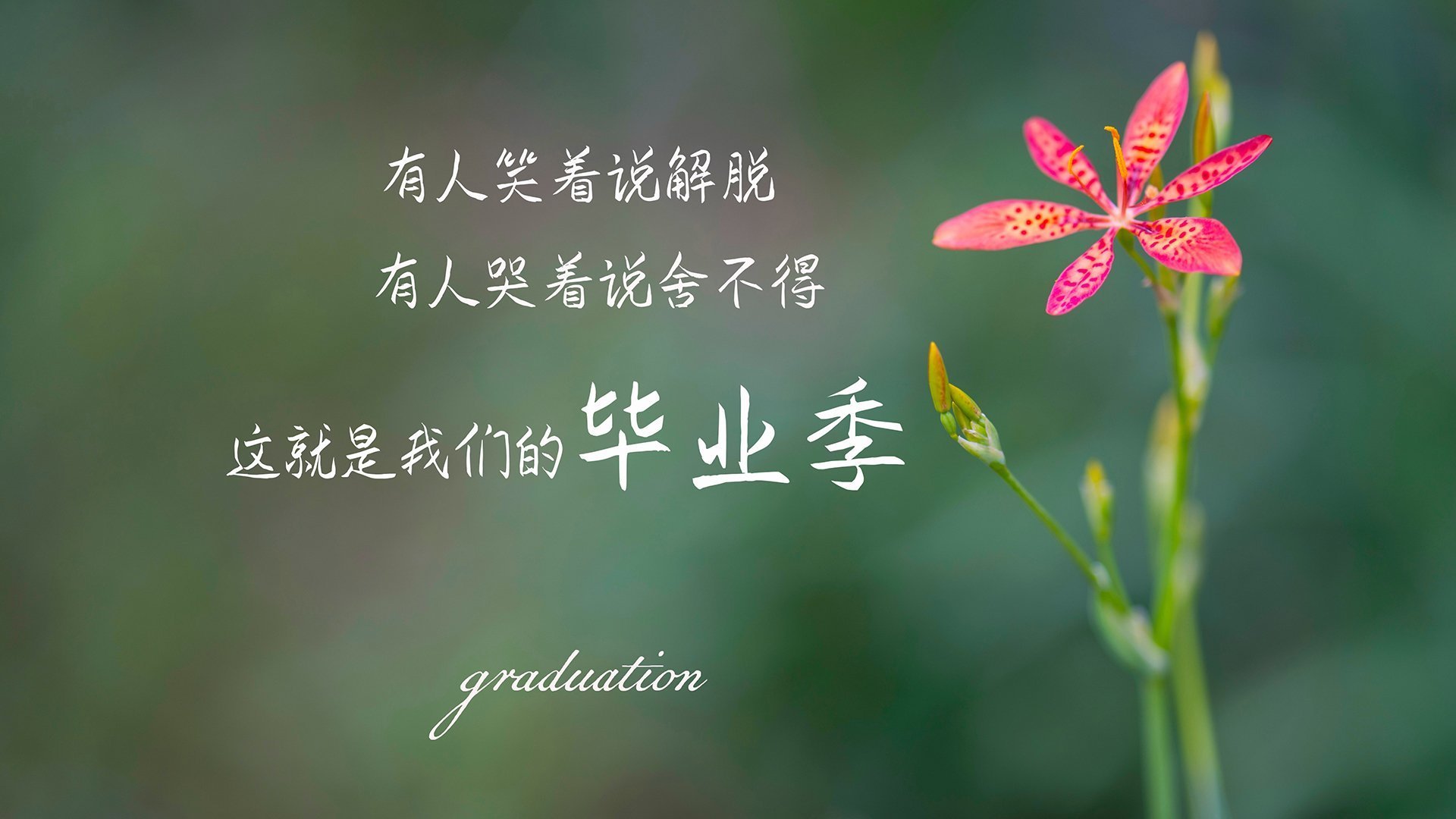 一手掌控比赛走势，雄鹿攻守兼备击溃太阳