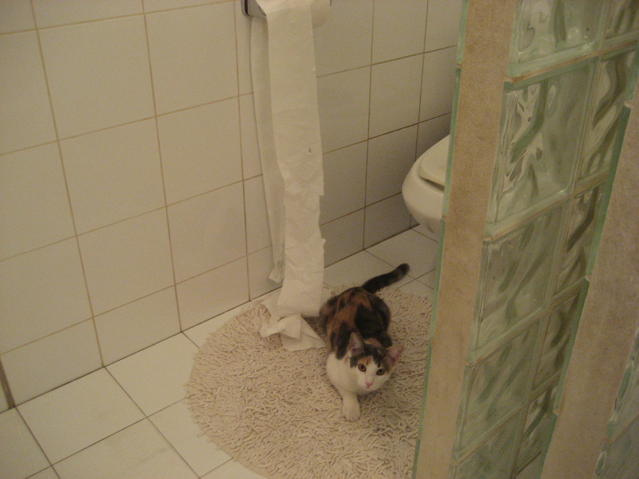 伊萨克闪耀欧洲，挪威黑马逆袭切尔西的个人史诗