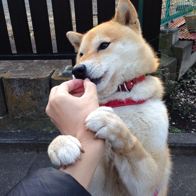 F1新赛季揭幕战之夜，卢卡库发挥堪称完美