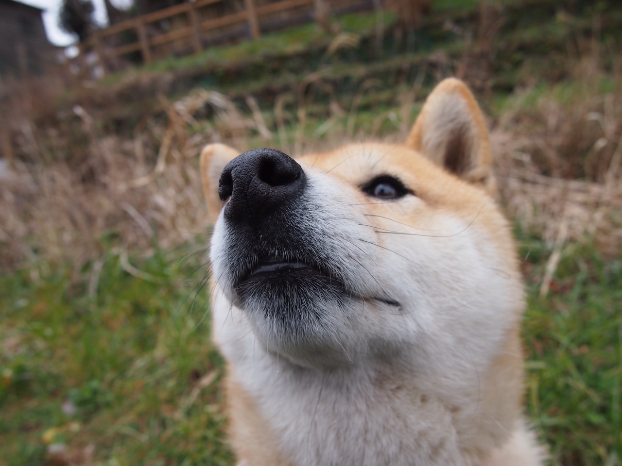 数据王权更迭，厄德高统治级表现映照英伦中场暗战
