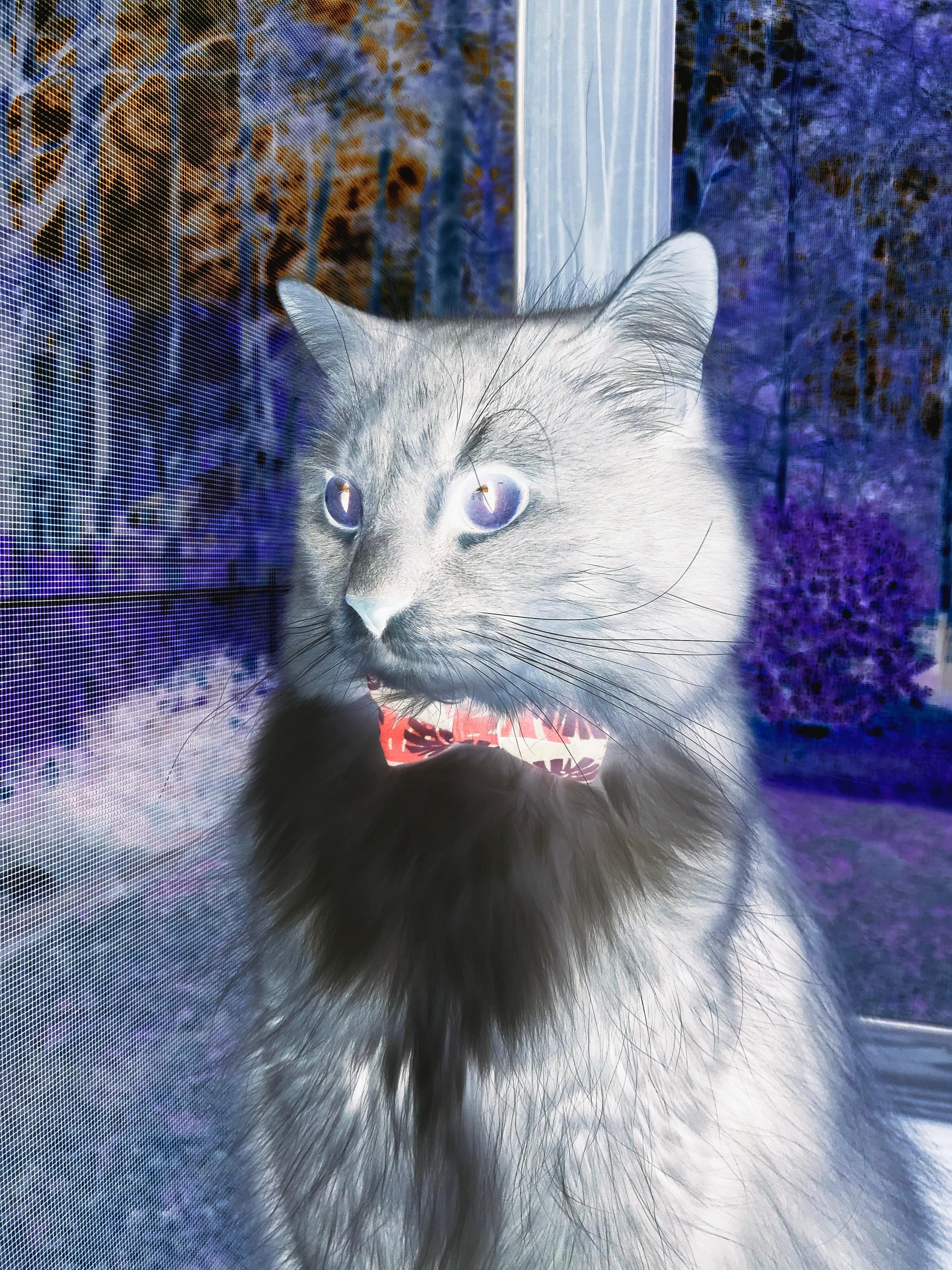 体育双星耀，墨西哥足球碾压洪都拉斯，奥纳纳F1街道赛上演逆转传奇