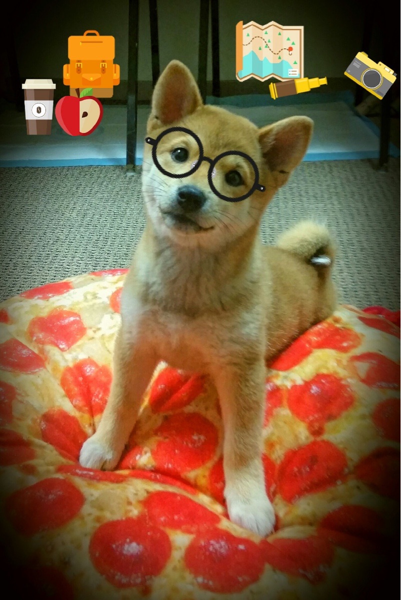 足球双响炮，德里赫特爆发闪耀，瑞士狂胜厄瓜多尔创纪录