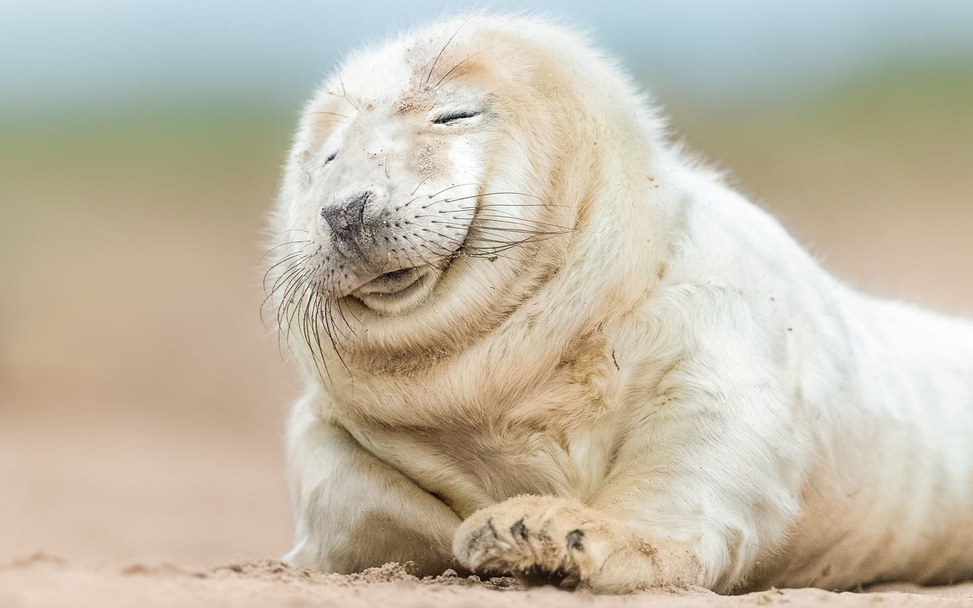 中场魔术师,卡马文加在国家德比之夜布下无形之网