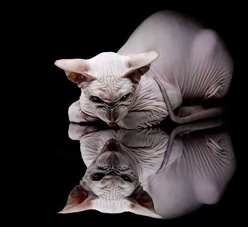 德国轻取瑞士,莱奥关键先生闪耀全场,奠定胜局