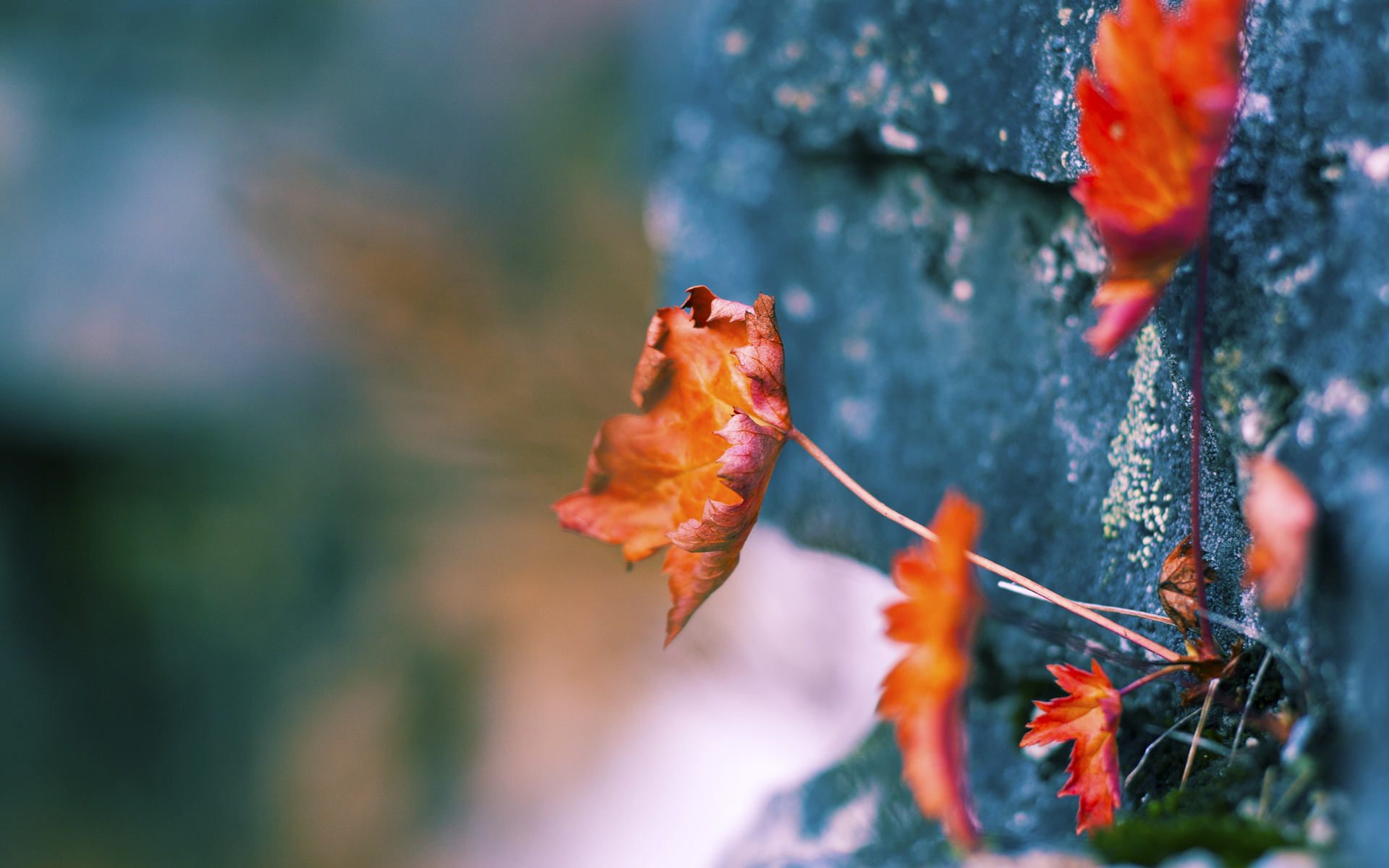 巨星时刻,恩比德连斩关键分,雄鹿鏖战力克掘金